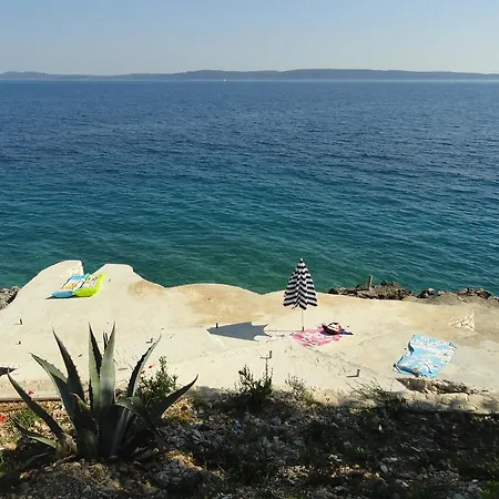 Damjan * Τρογκίρ