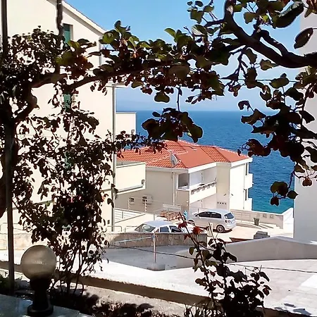 Damjan Διαμέρισμα
