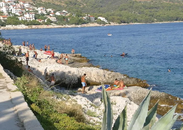 Damjan *